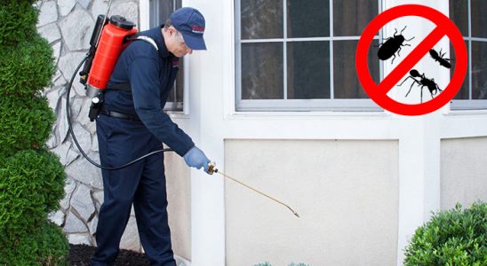 Akyurt Akrep İlaçlama böcek ilaçlama ve haşere kontrolü — ilaclama-tr.com